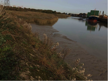 Beckton Sewage Treatment Works - Estuary Edges - Case Studies